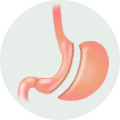 animation of a stomach